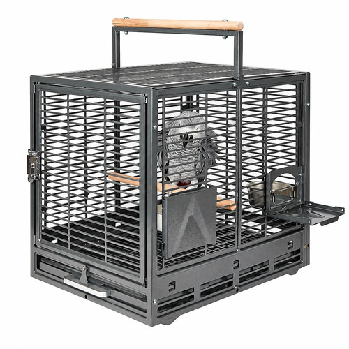 Antique safari travel bird - safari,