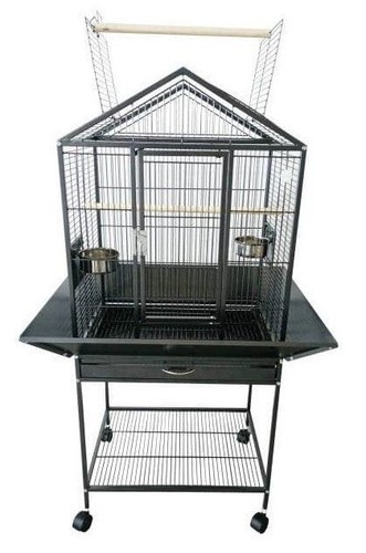 Gemini small bird - bird,