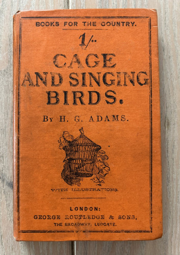 Cage and singing - singing, h