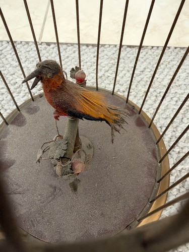Antique german signing - antique, bird