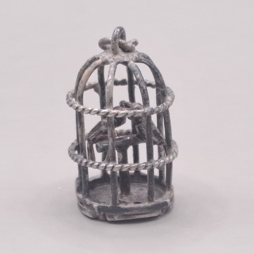 Antique silver cage - silver,