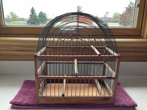 Antique bird cage - or, sit