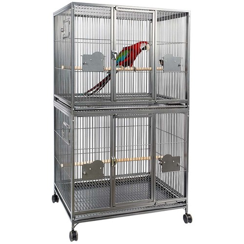 Rainforest cages double - rainforest,