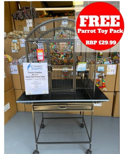 Parrot supplies boston - parrot-supplies, open