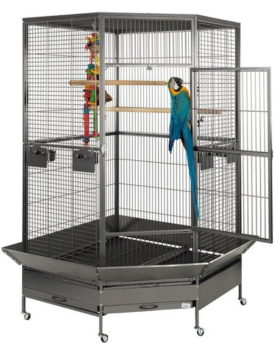 Liberta cages raleigh - cages,