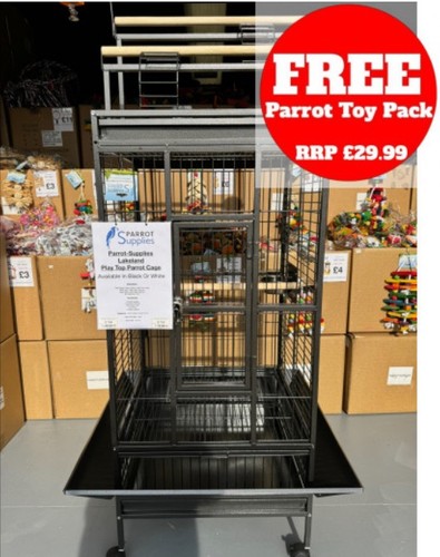 Parrot supplies lakeland - parrot-supplies,