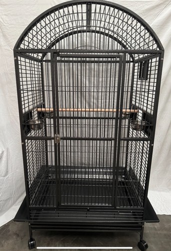 Parrot supplies desantis - parrot-supplies,