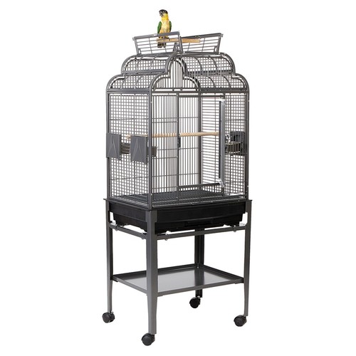 Rainforest cages peru top - rainforest,