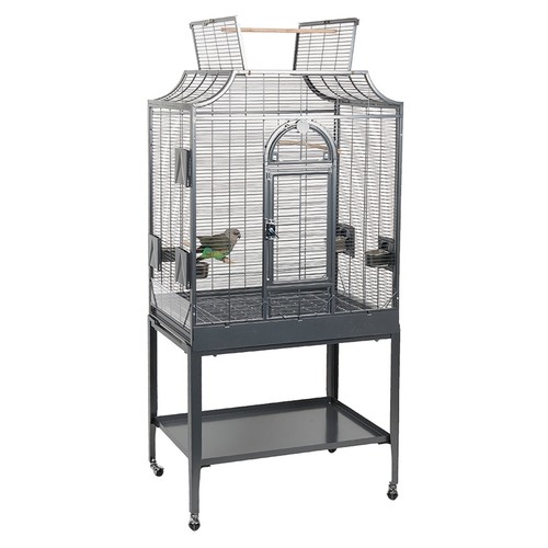 Rainforest cages amazona top - cages,