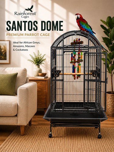 Rainforest santos dome antique - dome,