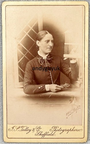 Cdv lady tending bird cage - lady,