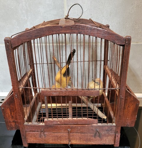Antique vintage wooden bird - wooden,