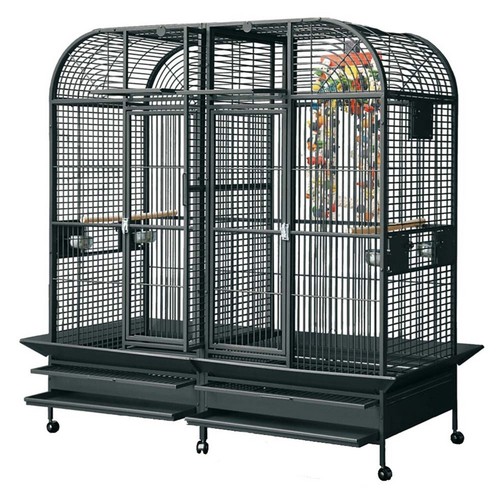 Rainforest cages castello - castello, 2