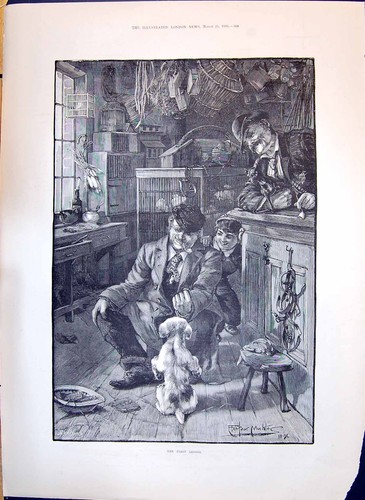 Original old antique print - original,