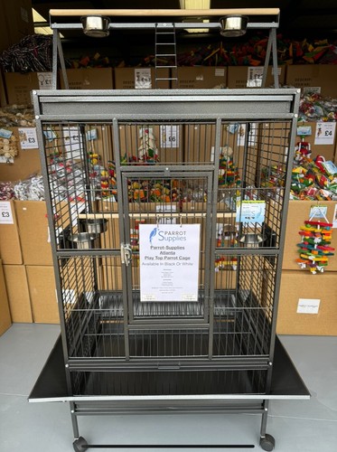 Parrot supplies atlanta - parrot-supplies,