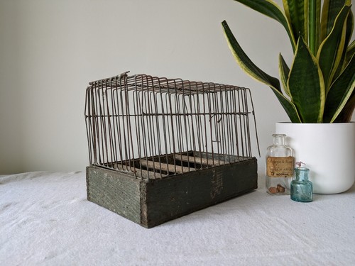 Vintage green wire show - vintage,